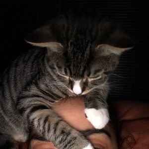 Meet your Posher, Lydia